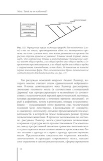Мозг. Такой ли он особенный? 15