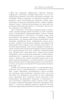 Мозг. Такой ли он особенный? 16