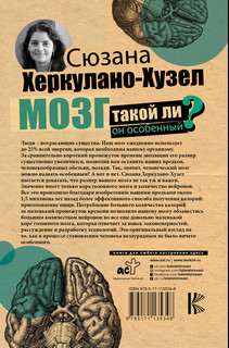 Мозг. Такой ли он особенный? 18
