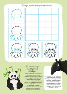 Активити атлас. Животные 6