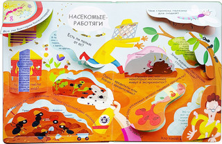 Микромир. Волшебные окошки 3