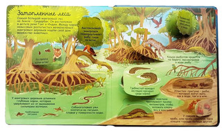 Секреты морей и океанов 4