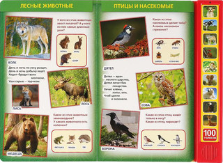 100 голосов животных (10 звуковых кнопок, 100 звуков). 5