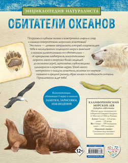 Обитатели океанов 2