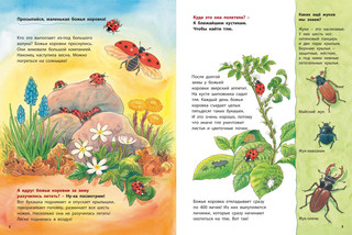 Божья коровка и другие обитатели луга. Познавательные истории 2