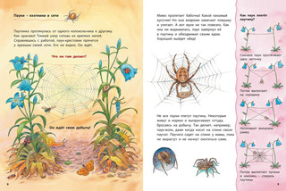Божья коровка и другие обитатели луга. Познавательные истории 3