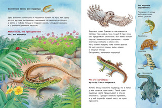 Божья коровка и другие обитатели луга. Познавательные истории 4