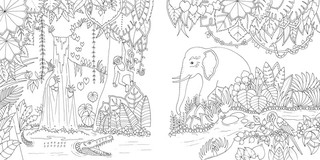 Удивительные джунгли 3