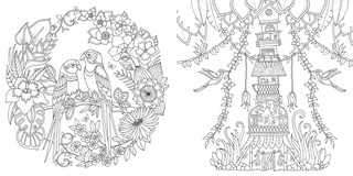 Удивительные джунгли 5