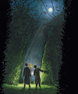 Гарри Поттер и Кубок Огня. Иллюстрированное издание 2