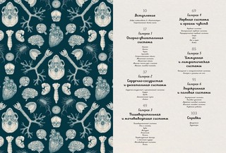 Анатомикум 2