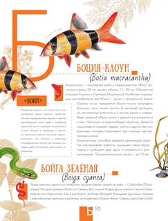 Энциклопедия животных Московского зоопарка 11