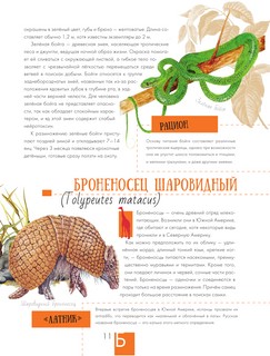 Энциклопедия животных Московского зоопарка 12