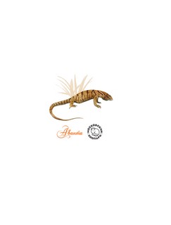 Энциклопедия животных Московского зоопарка 2