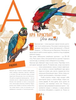 Энциклопедия животных Московского зоопарка 7