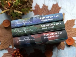 Наполеонов обоз. Книга 3. Ангельский рожок 13