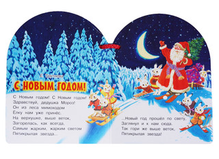 Дедушка Мороз и Снегурочка 2