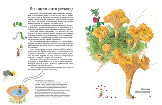 Софи в мире грибов 3