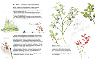 Софи в мире ягод 2