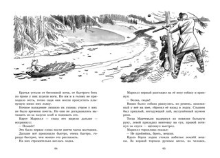 Белогрудка 4