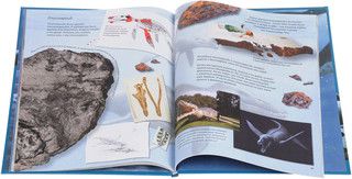 Морские монстры Шпицбергена 3