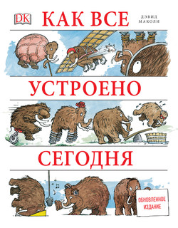 Как все устроено сегодня, размер 216x280 мм