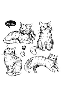 Котята и щеночки. Кто милее? Раскраски антистресс 7