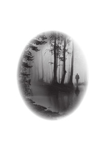 НЭНСИ ДРЮ и зловещие совпадения 4