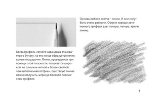 Скетчбук по ботанической иллюстрации 5