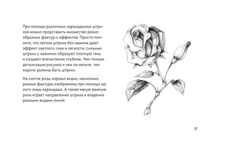 Скетчбук по ботанической иллюстрации 7