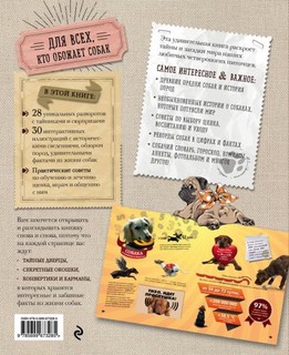 Собаки. Книжка-сюрприз для всех, кто обожает собак, размер 195x235 мм 2