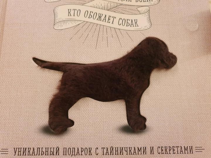 Три минуты ради собаки книга. Книга с собакой на обложке. Книга сюрприз собаки. Собака с книжкой. Собака книжка сюрприз.