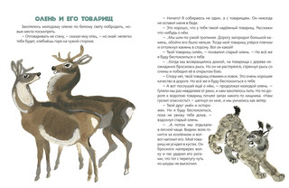 Два цыплёнка 3