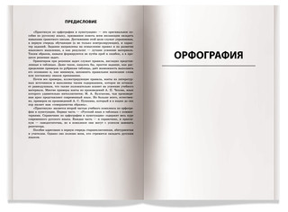 Русский язык. Практикум по орфографии и пунктуации 3