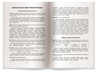 Русский язык. Практикум по орфографии и пунктуации 5