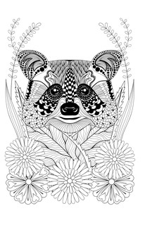 #Эти милые еноты. Раскраски антистресс 4