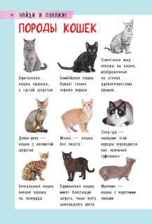 250 лучших игр и головоломок на каникулах 10