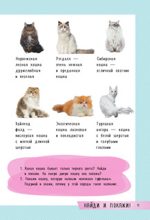 250 лучших игр и головоломок на каникулах 11