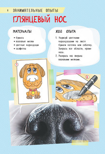 250 лучших игр и головоломок на каникулах 8