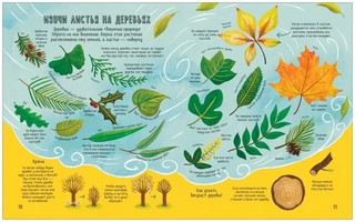 Безумная наука. Исследуй все вокруг! 3