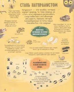 Безумная наука. Исследуй все вокруг! 7