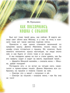 Коты — мои друзья 15