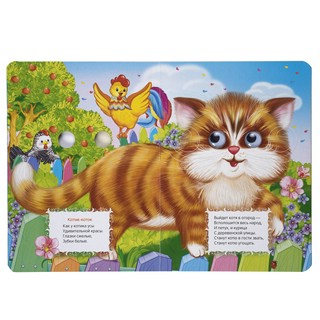 Сорока-белобока 2