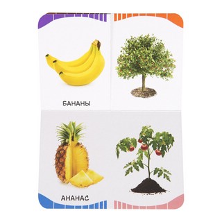 Фрукты, овощи, ягоды. Первые слова 2