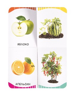 Фрукты, овощи, ягоды. Первые слова 3