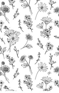 Удивительные цветы. Раскраски антистресс 14