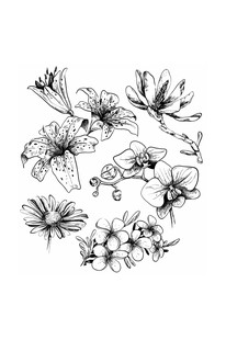 Удивительные цветы. Раскраски антистресс 6