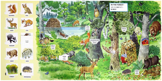 English для малышей. 100 окошек для малышей 4