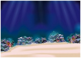 Моя книга наклеек. Животные мира 4