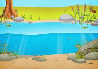 Моя книга наклеек. Природа 2